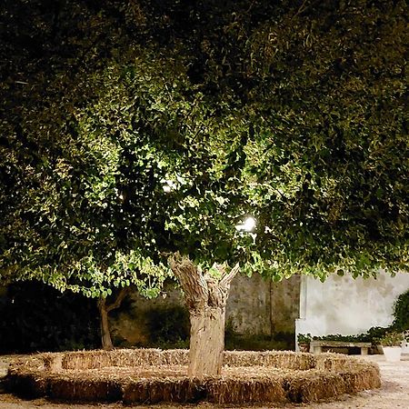 Masseria San Martino Polignano a Mare Exterior foto
