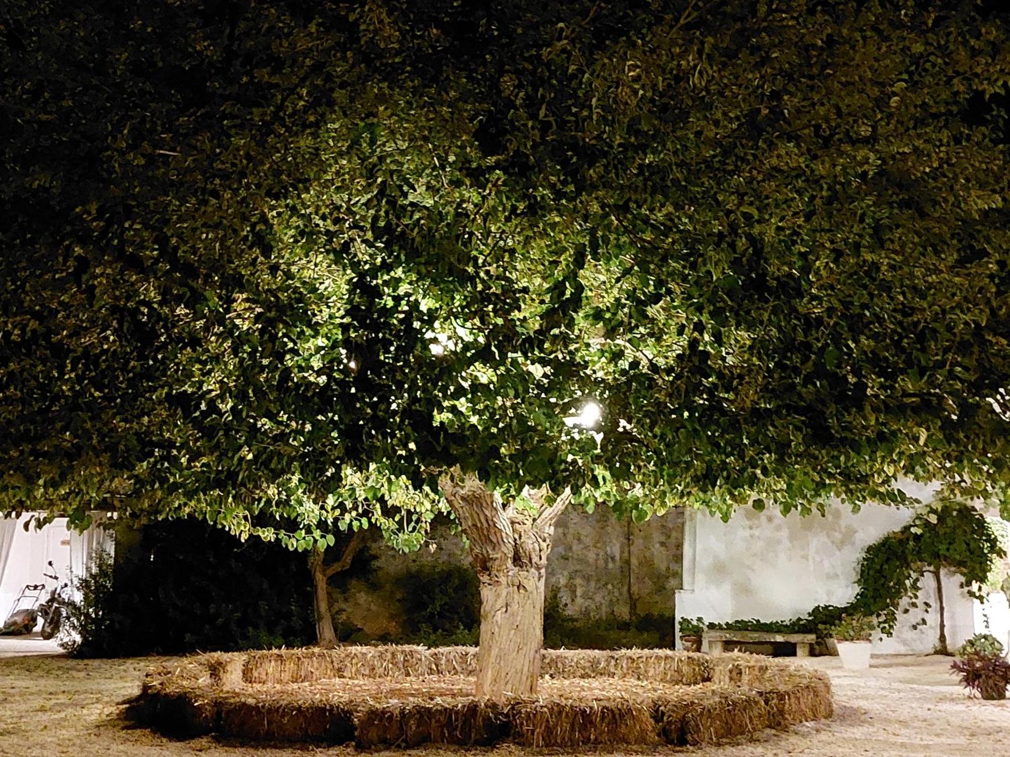 Masseria San Martino Polignano a Mare Exterior foto