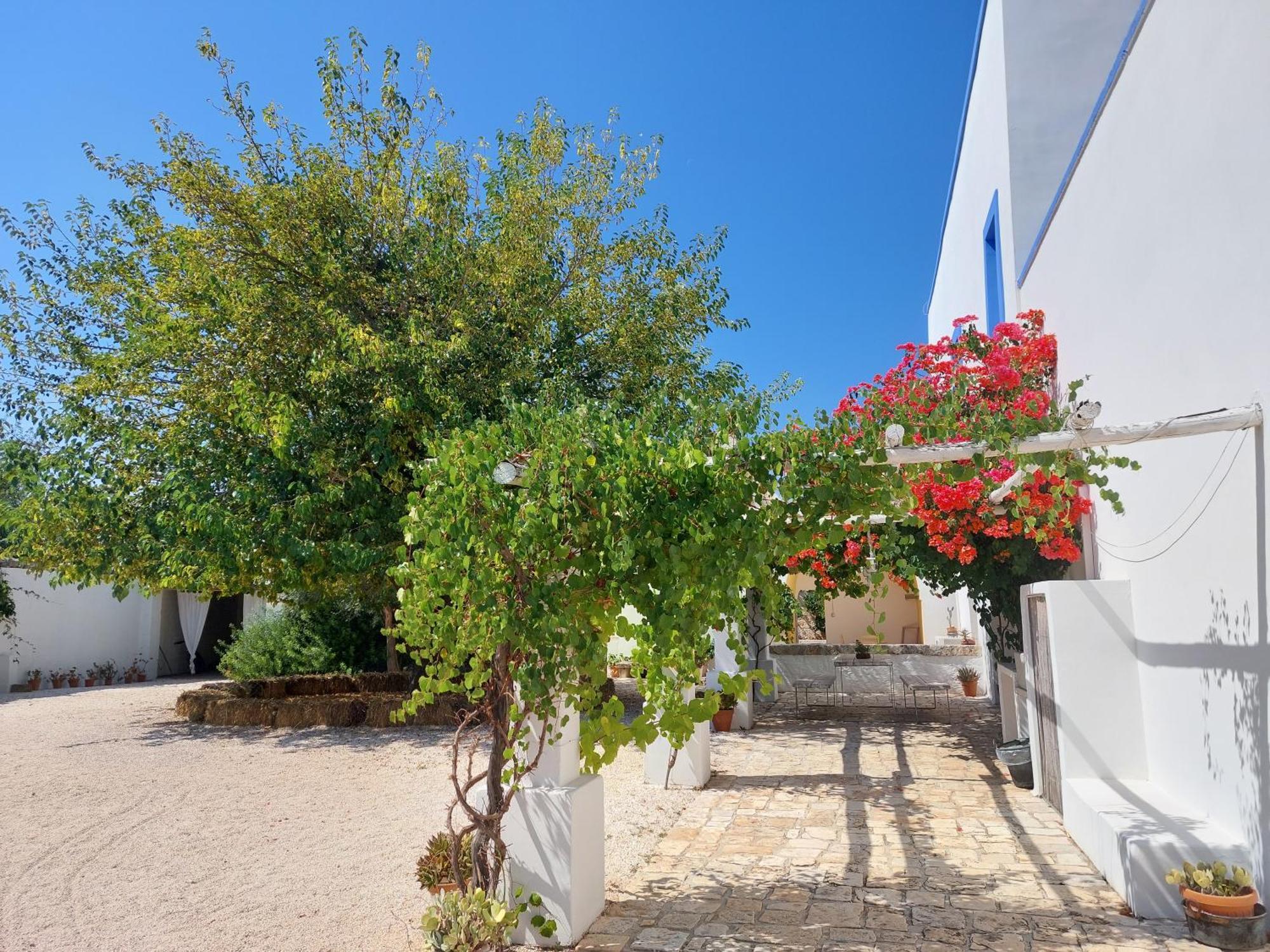 Masseria San Martino Polignano a Mare Exterior foto