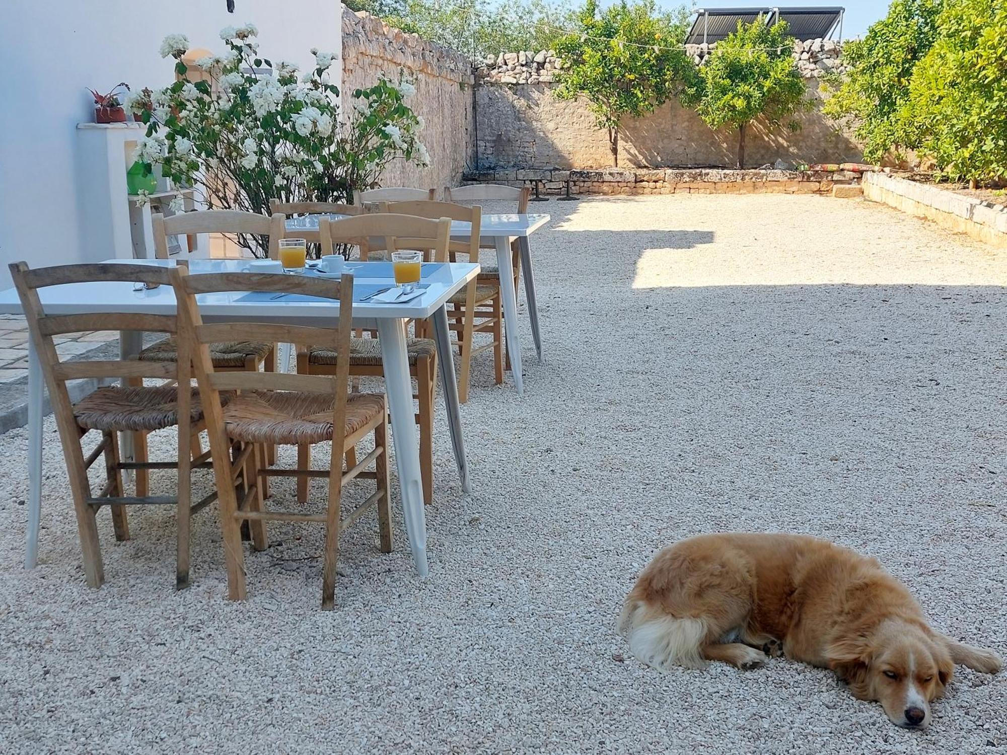 Masseria San Martino Polignano a Mare Exterior foto